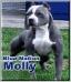  BLUE NATION'S MOLLY