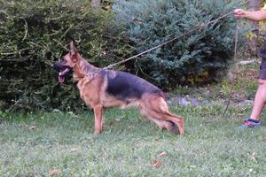 Super female , top producer IN HEAT !!!