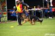 8-3-15 1st Minor Puppy Dog GSDCV.Inc State Breed Exhibition Judge: Mr Greg Green (Vic)