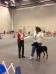 AKC RN, Houston World Series dog show