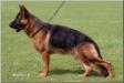 IND CH,BSZS'09 SG120 Kabul von Bad-Boll