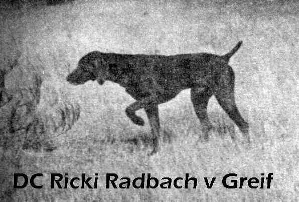 Ricki Radbach v Greif