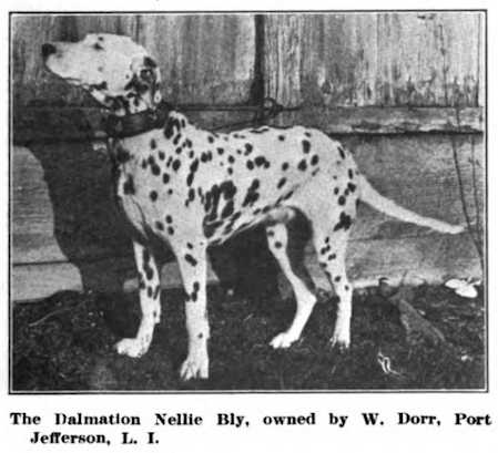 Nellie Bly ([W. Dorr, Port Jefferson, L.I.])