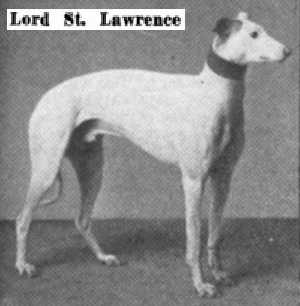 Lord St. Lawrence (NGSB 224)