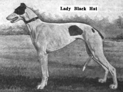 Lady Black Hat