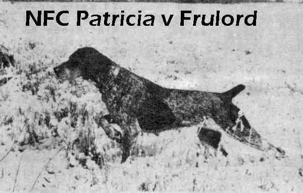 PATRICIA V FRULORD