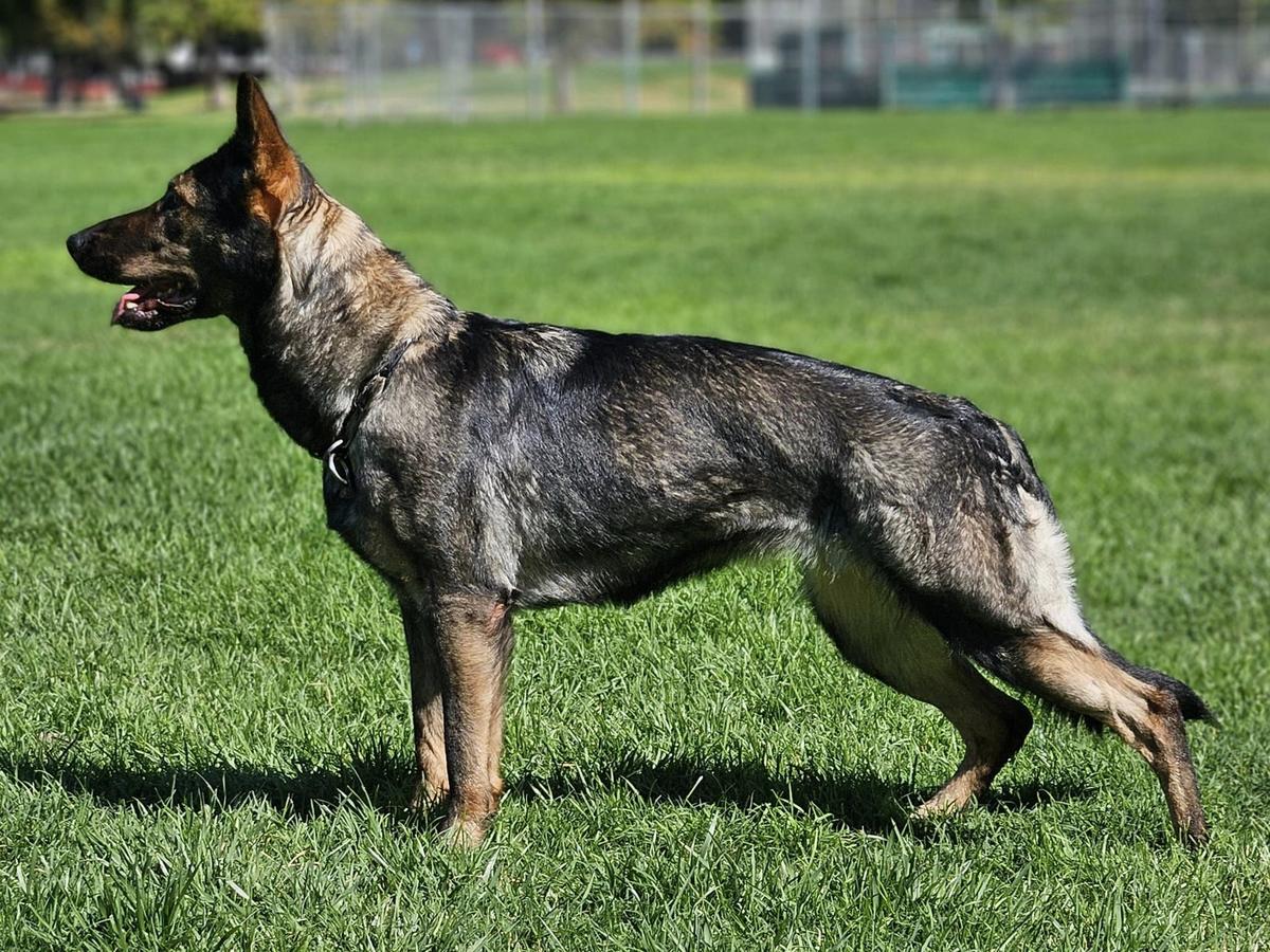 Layla von der Tetiaroa